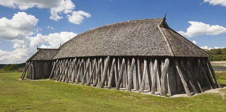 viking architecture
