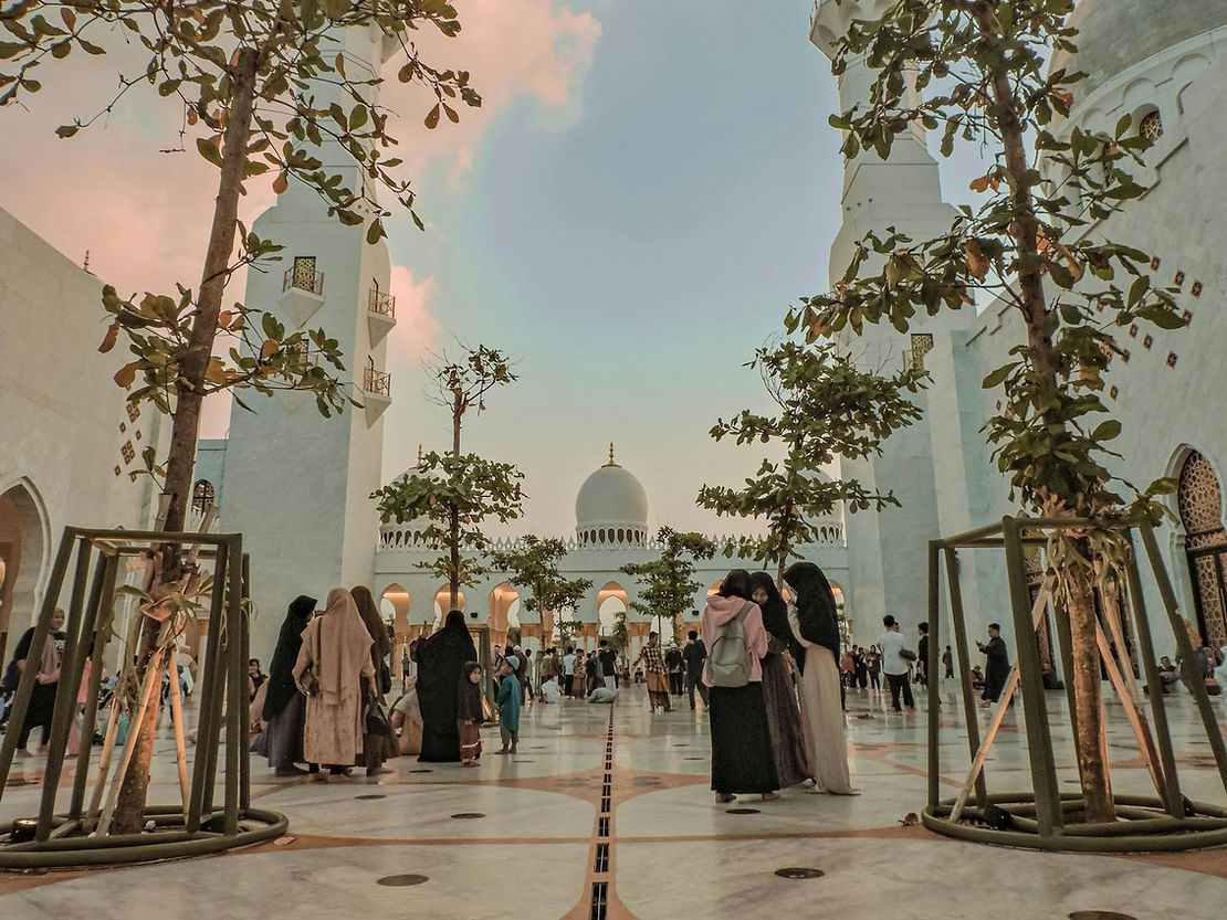 Sheikh Zayed Grand Mosque Visitors