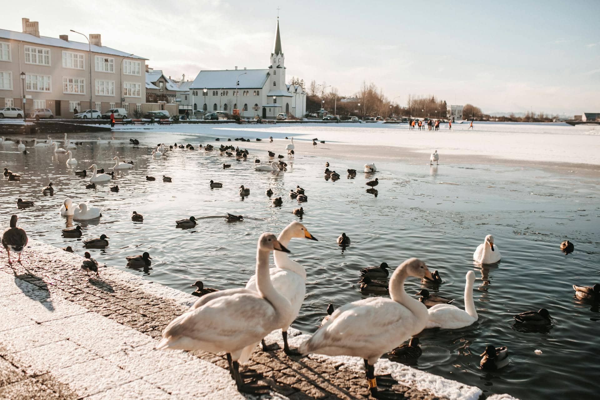 Picture of Icelandic Minimalism: How Reykjavik Marries Design with Nature