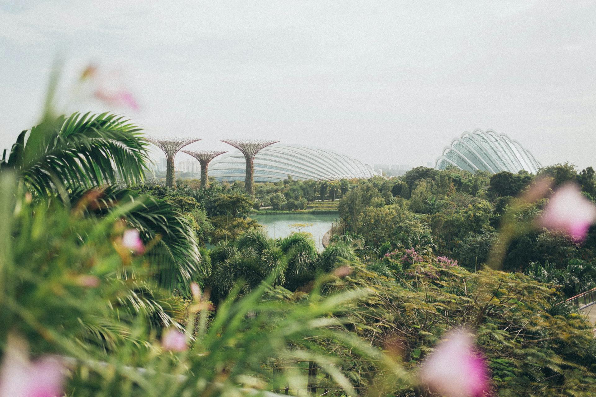 Singapore’s Vertical Gardens: A Vision for Green Cities