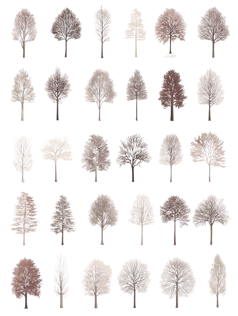 Free seasonal tree cutout PNG illustrations for architectural site plans and landscape drawings