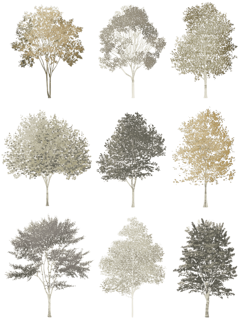 Download free architectural cutout: Trees Illustration Free tree cutout PNG illustrations for architectural site plans and landscape drawings