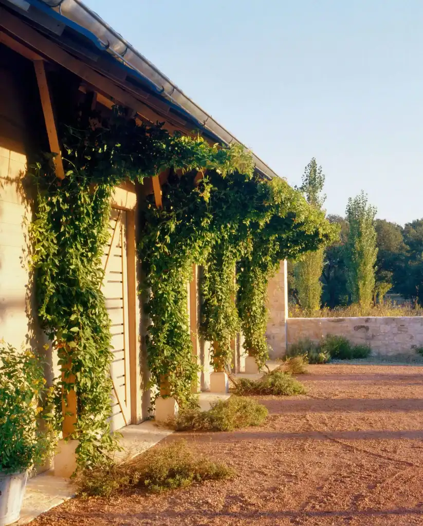 Triple Creek Ranch by Don B. McDonald Architects in Texas, United States