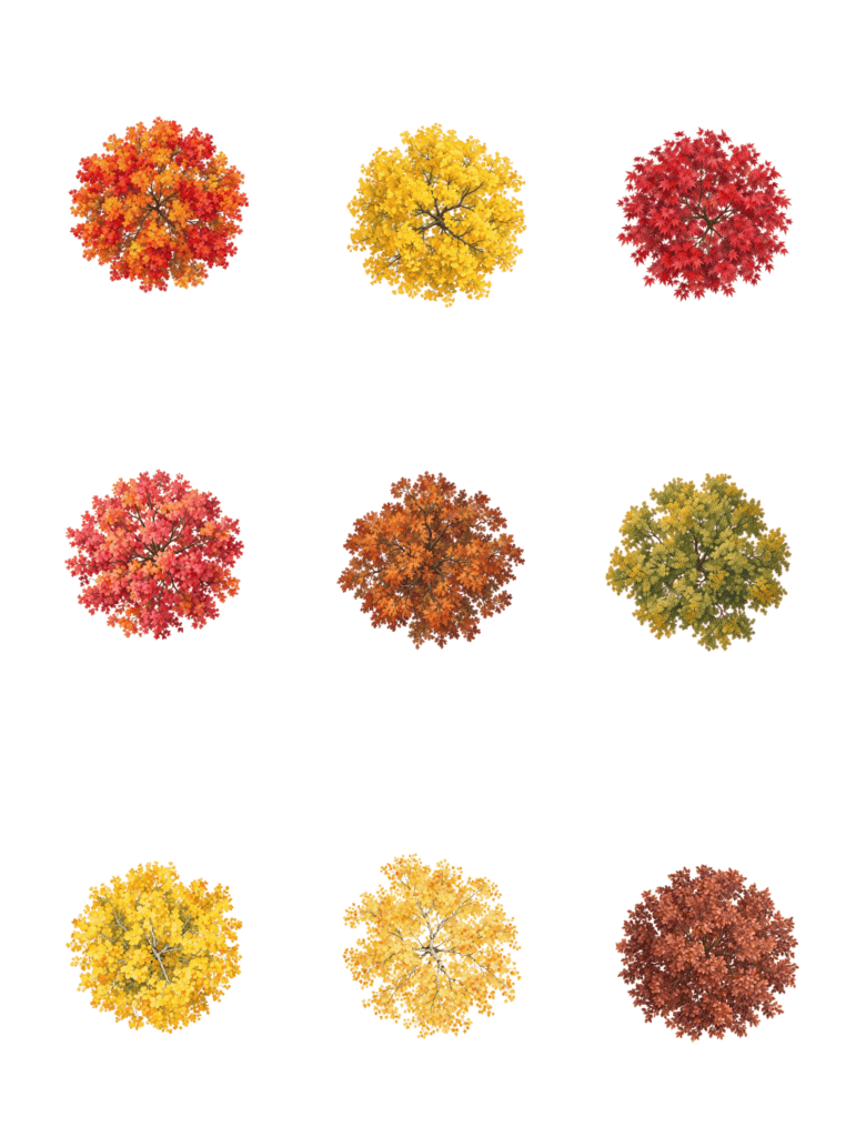 Free architectural cutout of Autumn Trees Plan