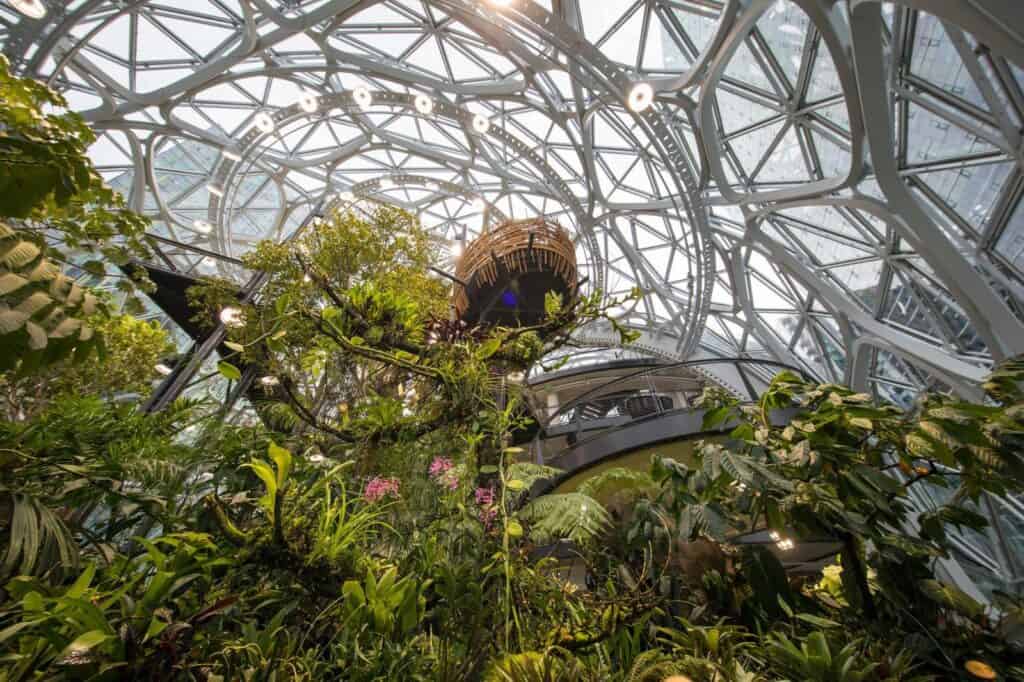 Looking up through dense cloud-forest planting to the bird's nest pod and white steel lattice dome of the Amazon Spheres