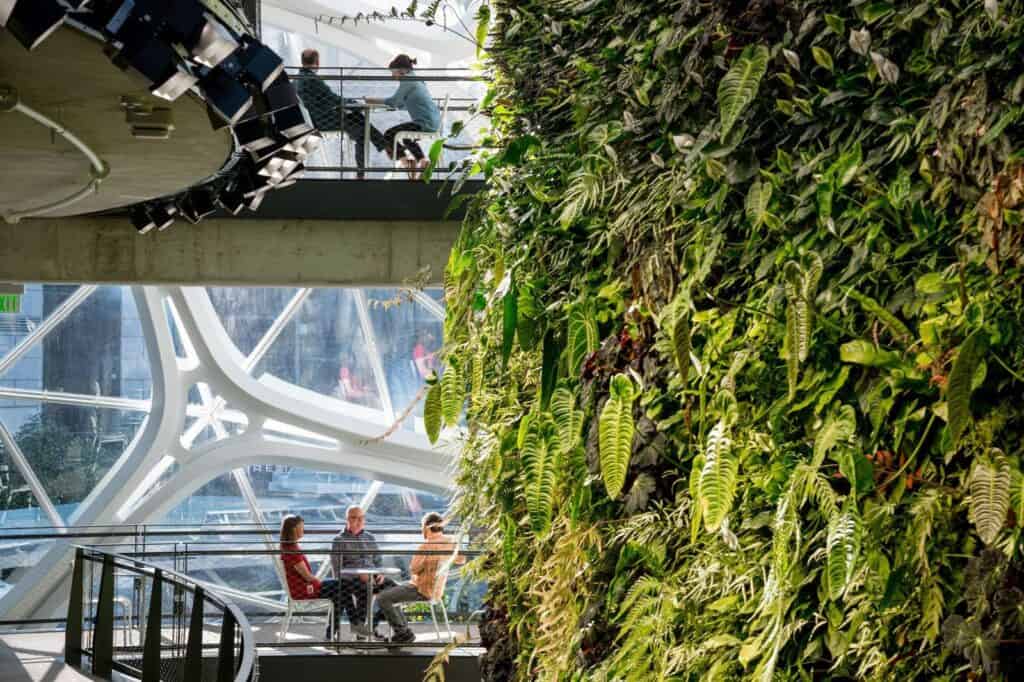 Four-storey living wall of ferns and vines beside tiered meeting terraces and curved white steel framing in the Amazon Spheres