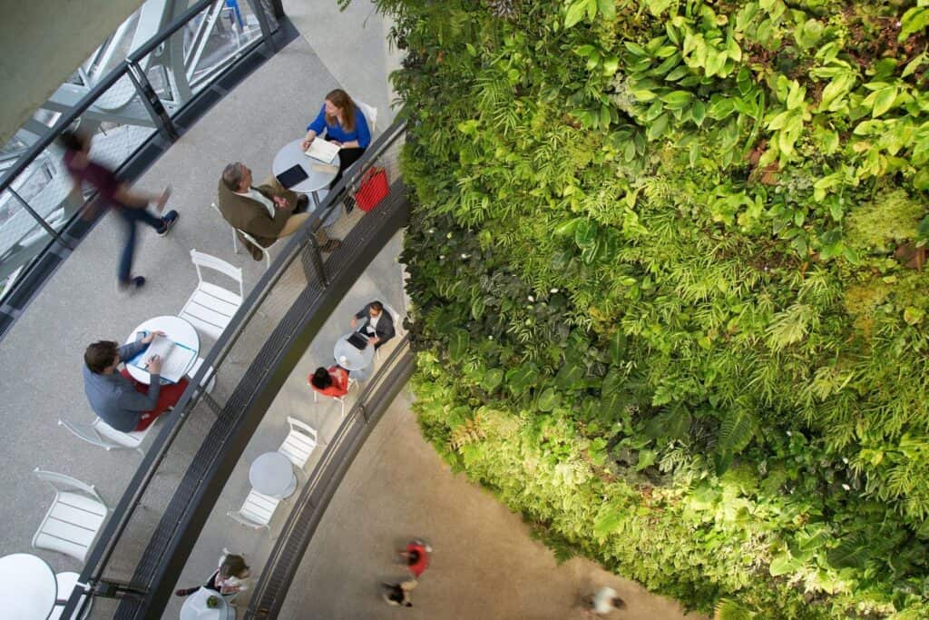 Overhead view of people at cafe tables on a curved walkway beside the green living wall inside the Amazon Spheres