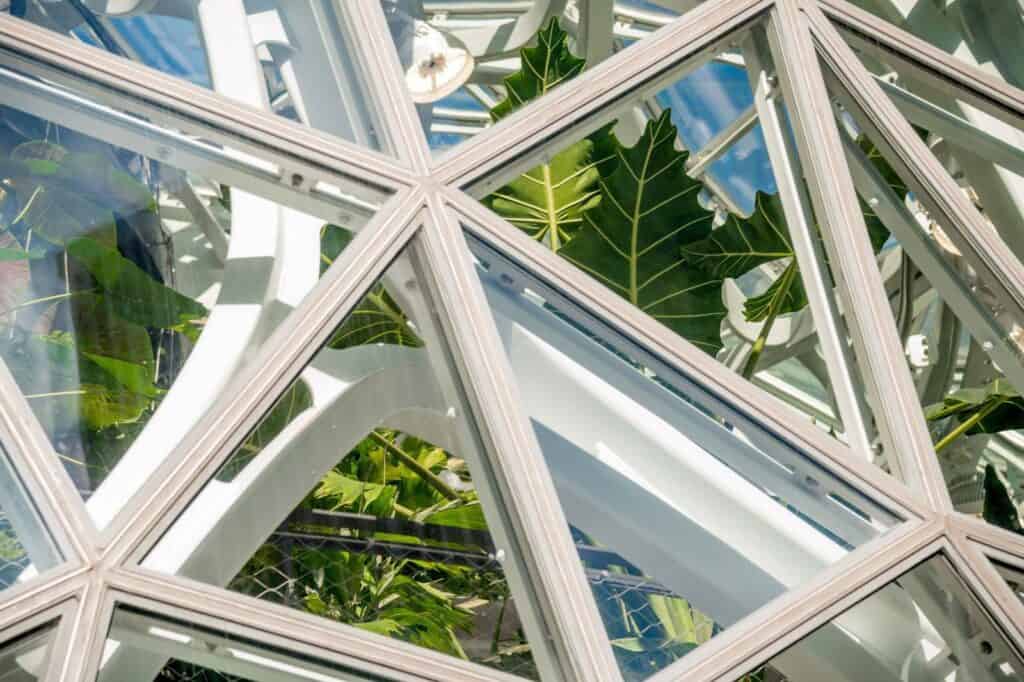 Close-up of white steel pentagonal framing and glass panes on the Amazon Spheres, broad tropical leaves pressing behind