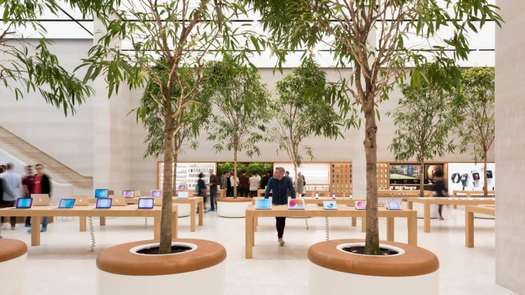 Grove of Ficus trees in round planters with leather-topped seating at Apple Regent Street, oak display tables with laptops and the lit Avenue wall displays beyond