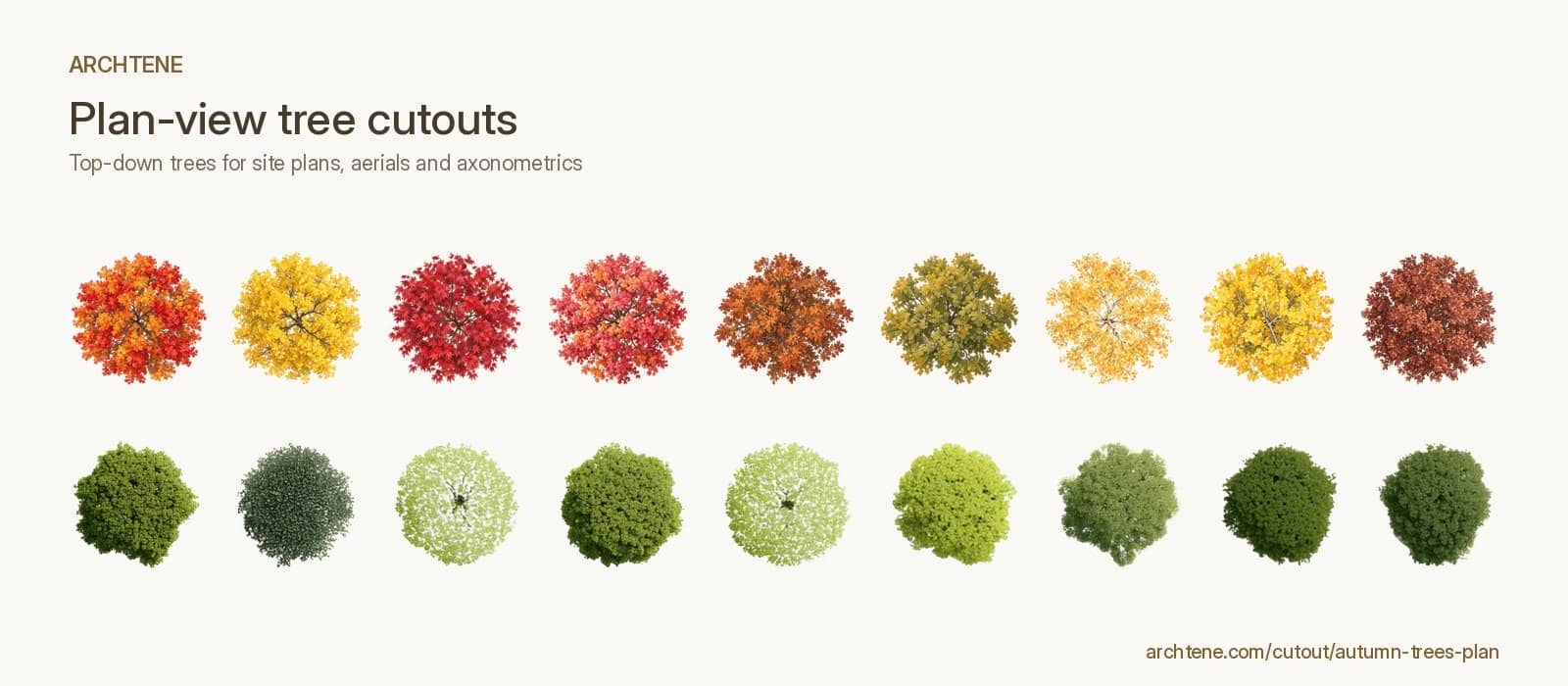 Two rows of top-down plan tree cutouts, one in autumn reds and yellows and one in summer greens