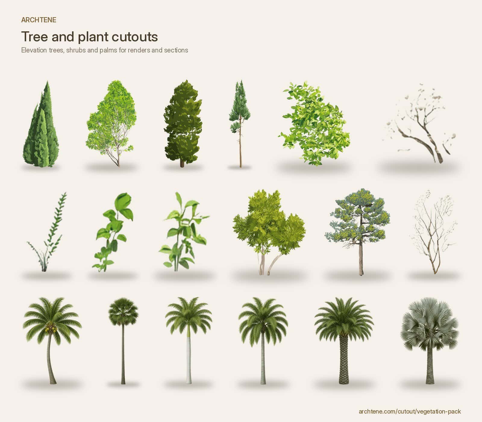 Grid of elevation tree cutouts including conifers, broadleaf trees, shrubs, bare branches and six palm trees