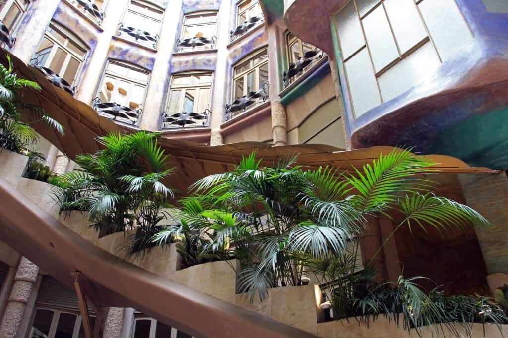 Palms and ferns spilling from a planted stair balcony in a Casa Milà courtyard, its curving painted parapet set against the tall walls of windows above